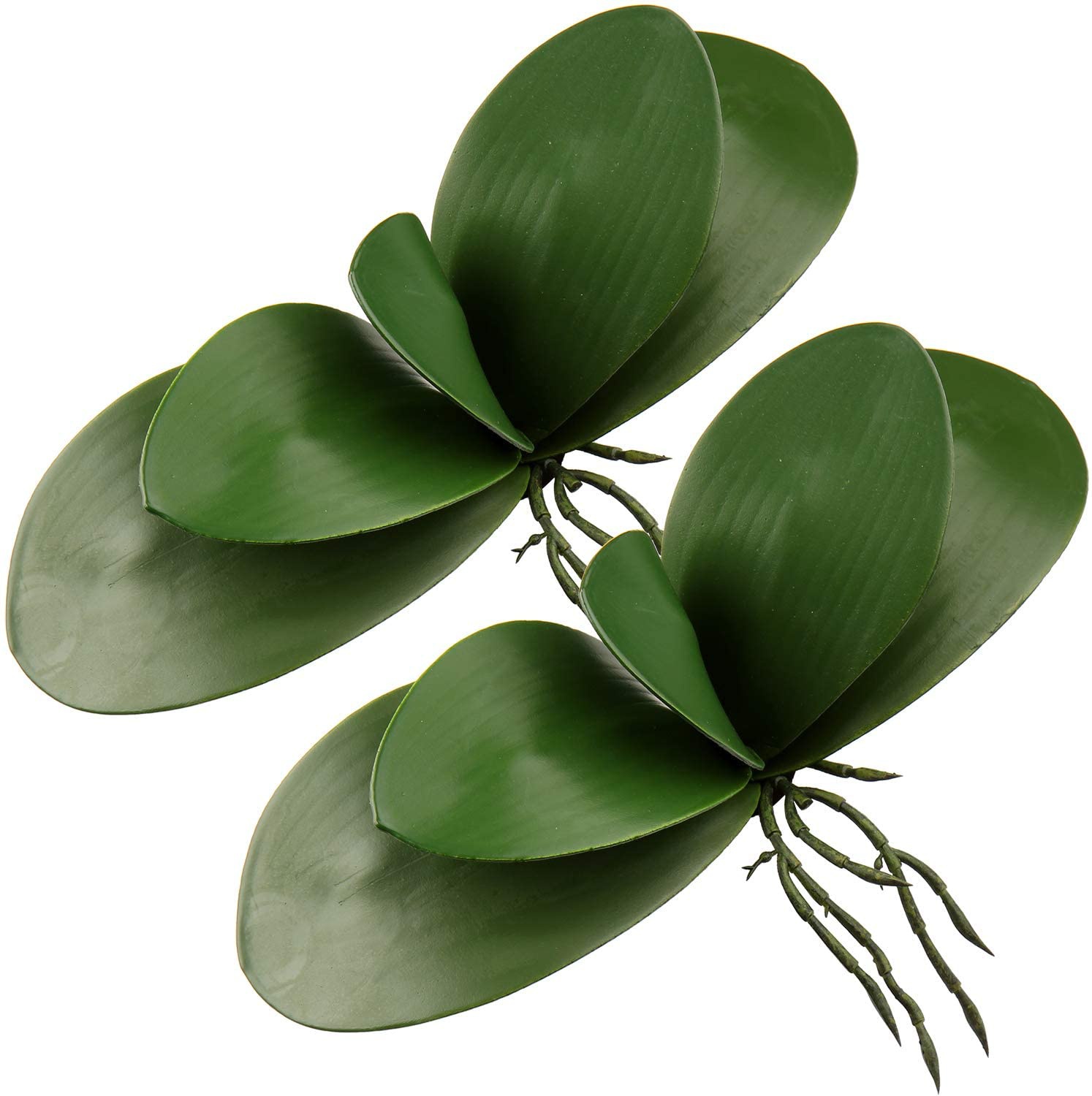 Orchid Phalaenopsis - ใบกล้วยไม้เทียมสัมผัสได้จริงพืชปลอมสีเขียว Latex-2pcs สัมผัสจริง