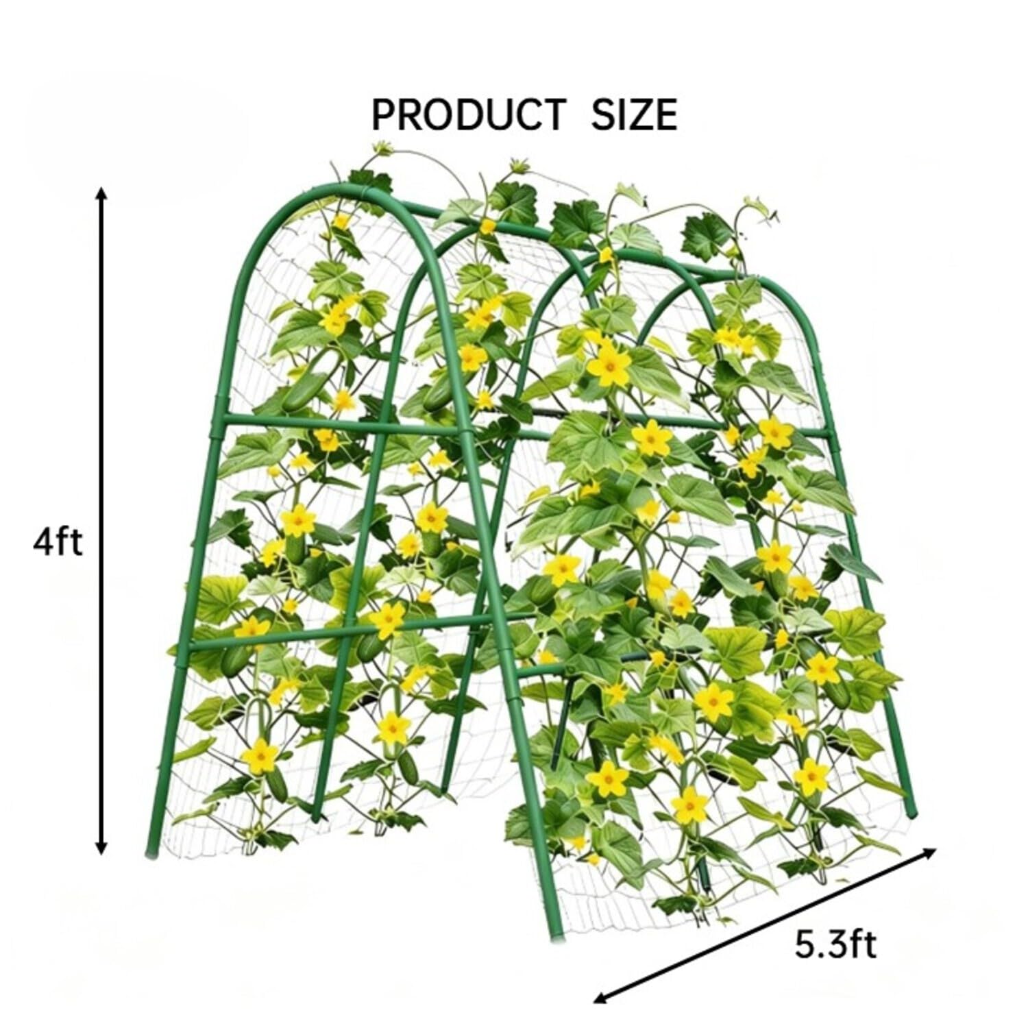 โครงโค้งสำหรับสวนขนาด 4x5.3 ฟุ - Plants X บทวิจารณ์และราคา