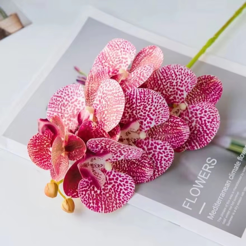 3D ประดิษฐ์ดอกไม้พลาสติก Butte - Orchid Phalaenopsis บทวิจารณ์และราคา