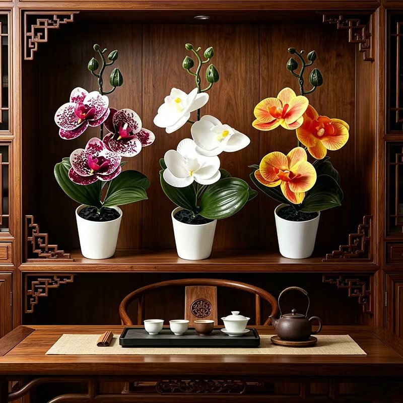 กล้วยไม้ผีเสื้อขนาดเล็กในกระถา - Orchid Phalaenopsis บทวิจารณ์และราคา