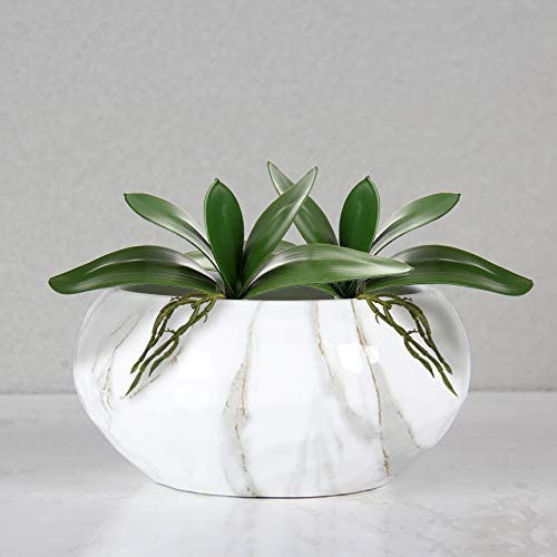 ใบกล้วยไม้เทียมสัมผัสได้จริงพื - Orchid Phalaenopsis บทวิจารณ์และราคา