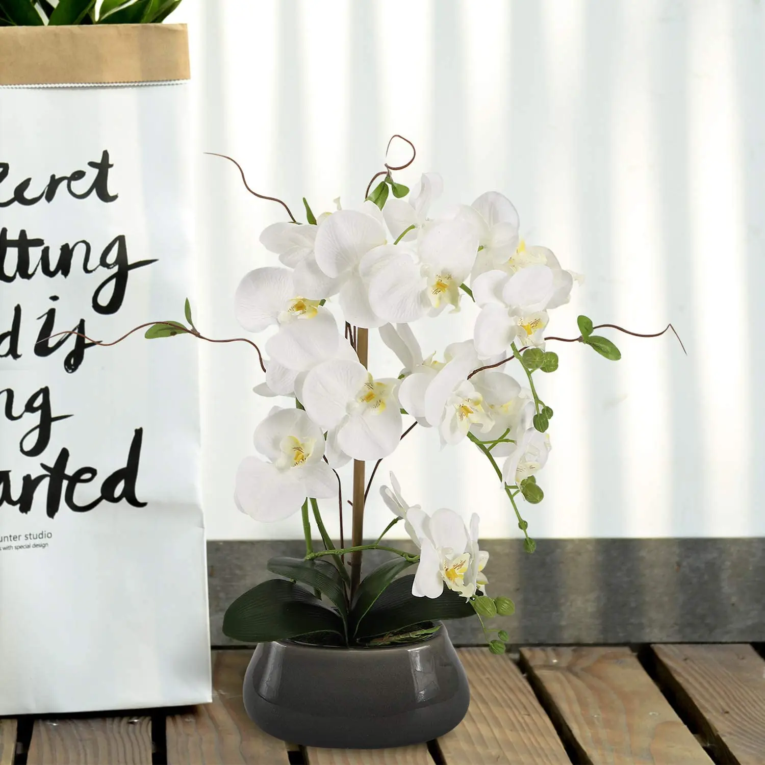 แกนกลางดอกไม้กล้วยไม้เทียมสำหร - Orchid Phalaenopsis บทวิจารณ์และราคา
