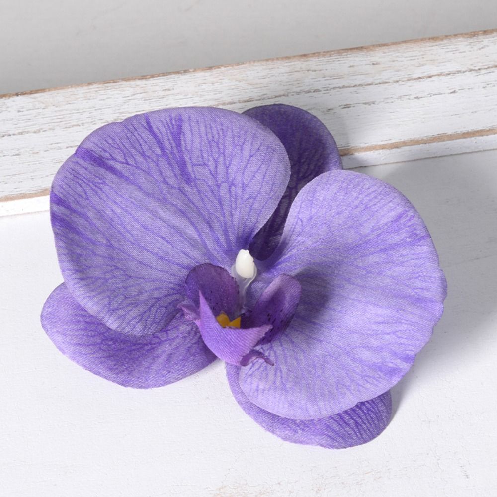 ดอกกล้วยไม้ฟาแลนนอปซิส DIY ขนา - Orchid Phalaenopsis บทวิจารณ์และราคา