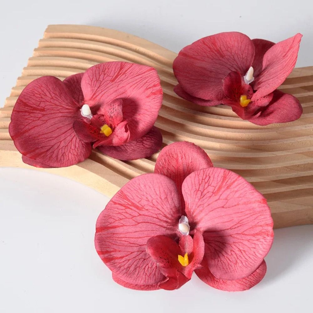 ดอกกล้วยไม้ฟาแลนนอปซิส DIY ขนา - Orchid Phalaenopsis บทวิจารณ์และราคา