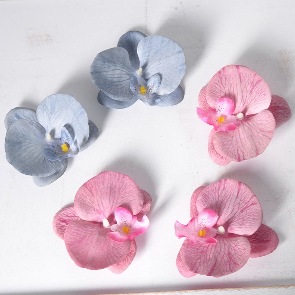 ดอกกล้วยไม้ฟาแลนนอปซิส DIY ขนา - Orchid Phalaenopsis บทวิจารณ์และราคา