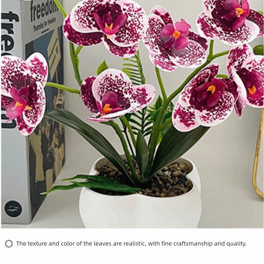 กล้วยไม้ผีเสื้อจำลองแบบหลายดอก - Orchid Phalaenopsis บทวิจารณ์และราคา