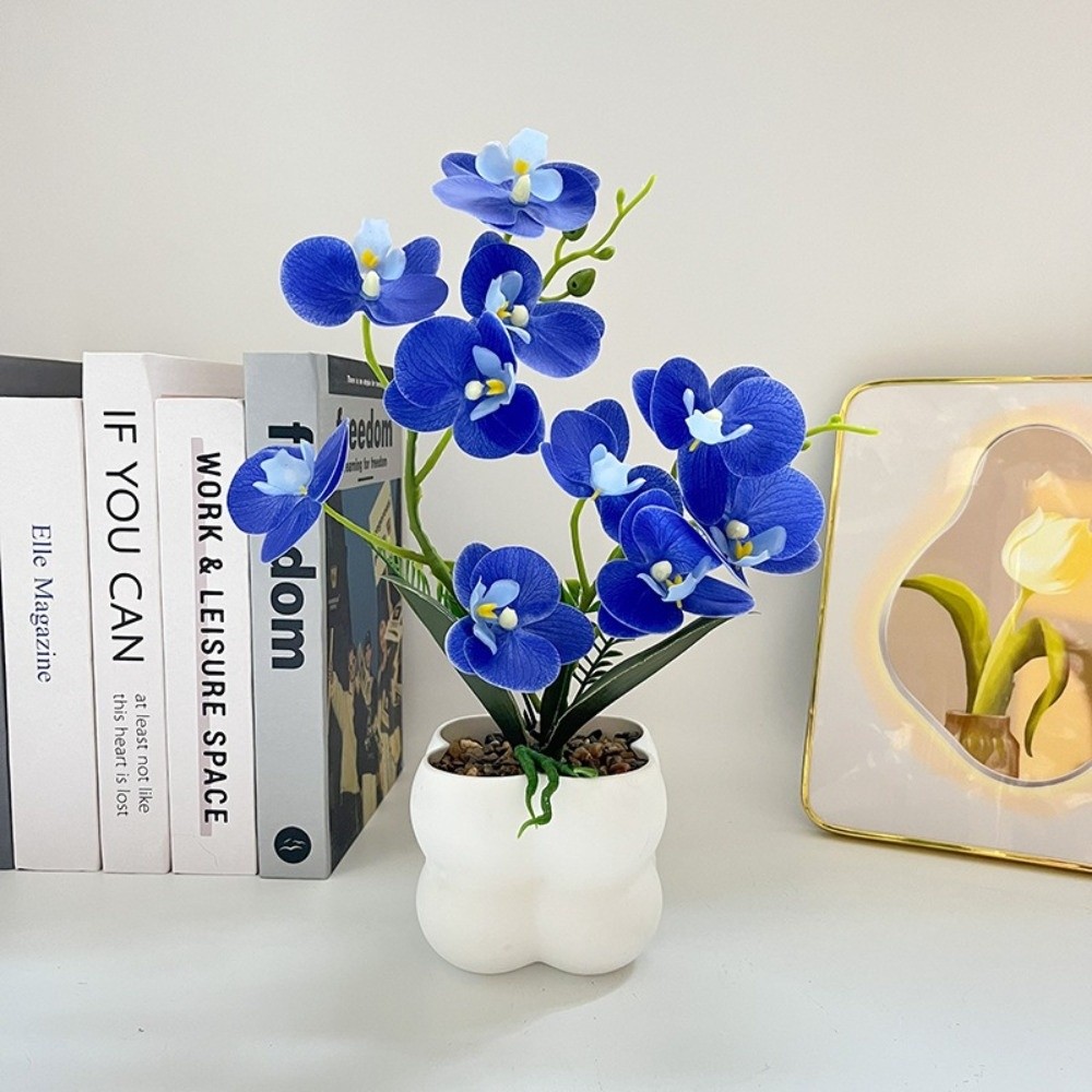 กล้วยไม้ผีเสื้อจำลองแบบหลายดอก - Orchid Phalaenopsis บทวิจารณ์และราคา